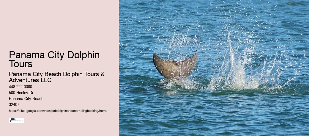 Panama City Dolphin Tours