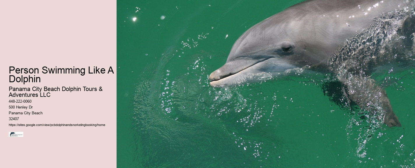 Dolphin And Snorkeling Tours Panama