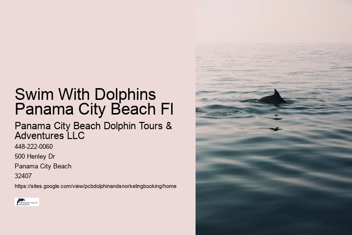 Swim With Dolphins Panama City Beach Fl