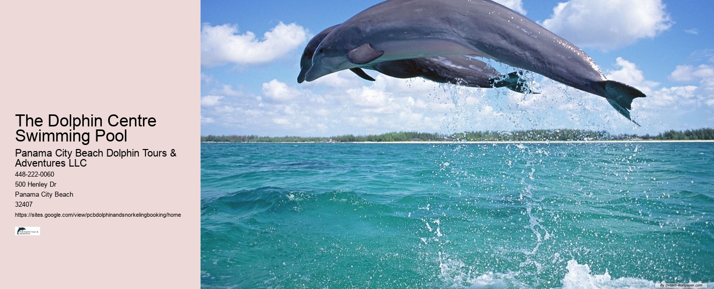 Person Swimming Like A Dolphin