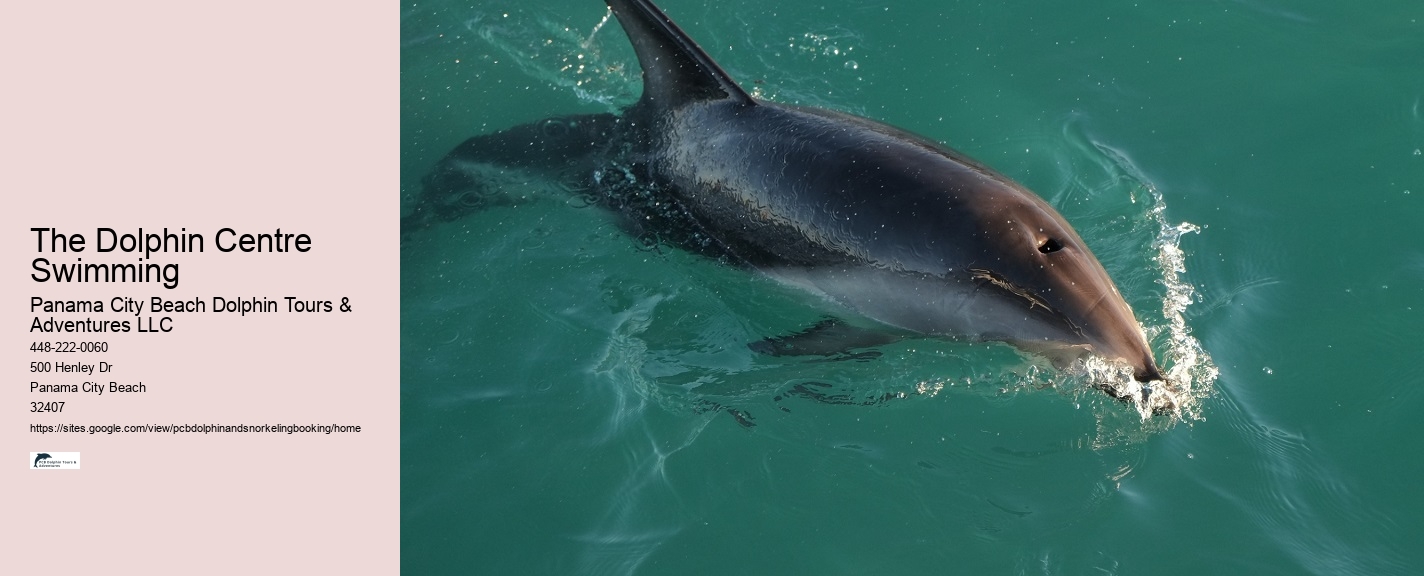 Blue Dolphin Tours Panama City Beach