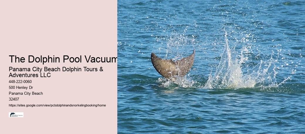 The Dolphin Pool Vacuum