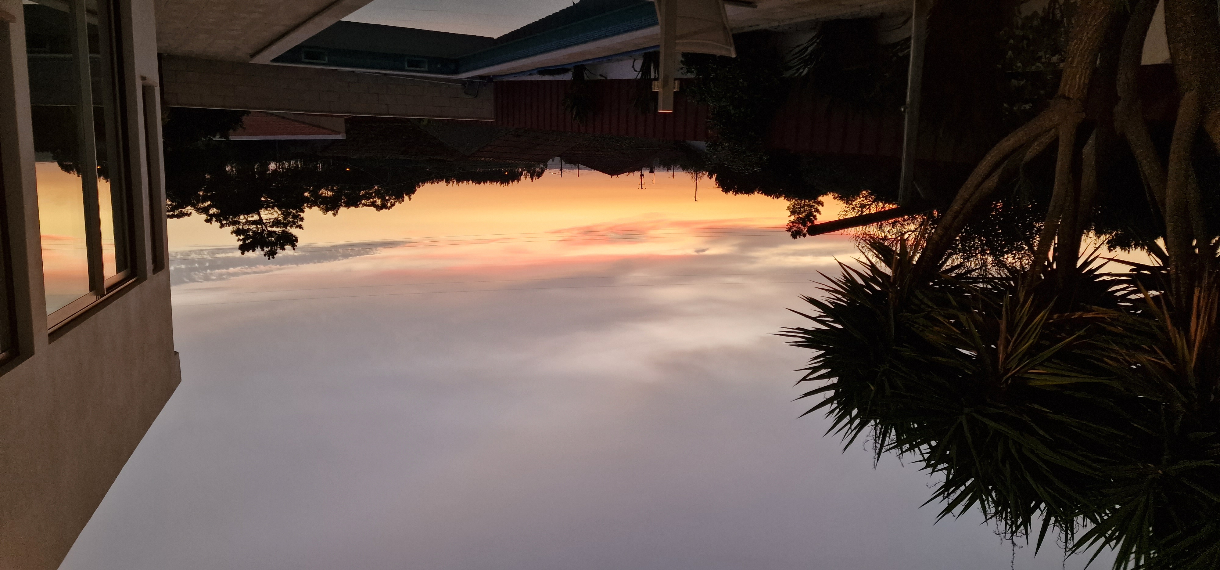 20220920_195241.jpg