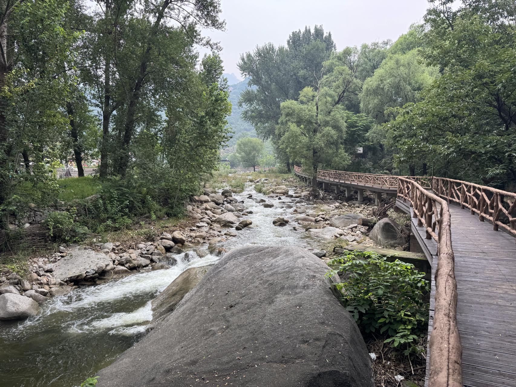 ‎Check network for missing images.