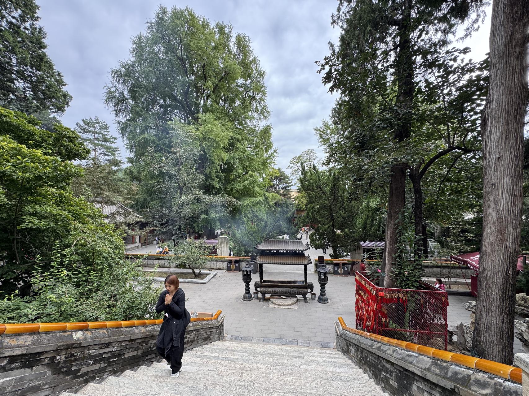 ‎Check network for missing images.