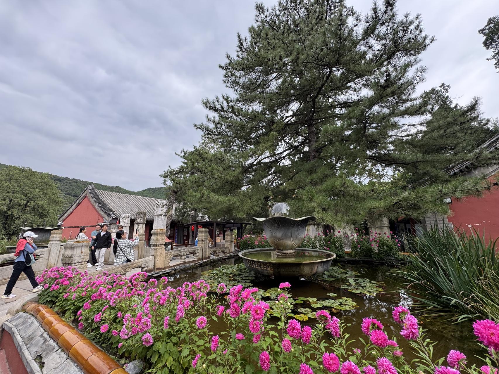 ‎Check network for missing images.