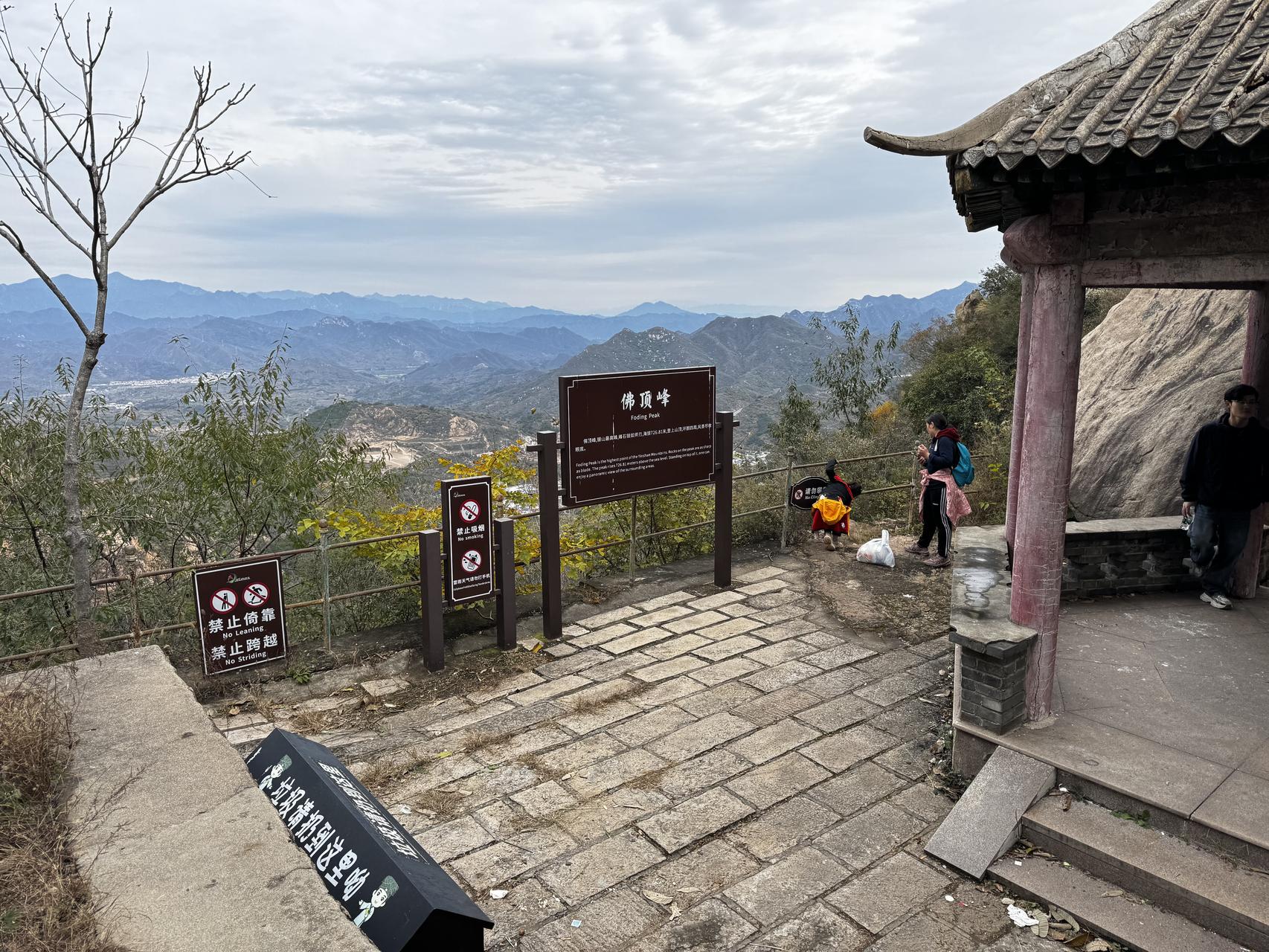 ‎Check network for missing images.