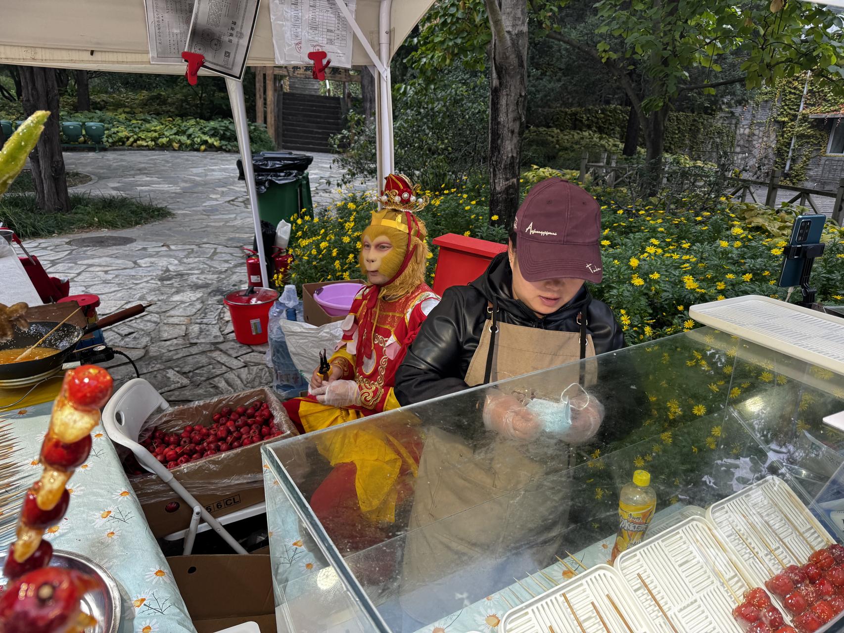 ‎Check network for missing images.