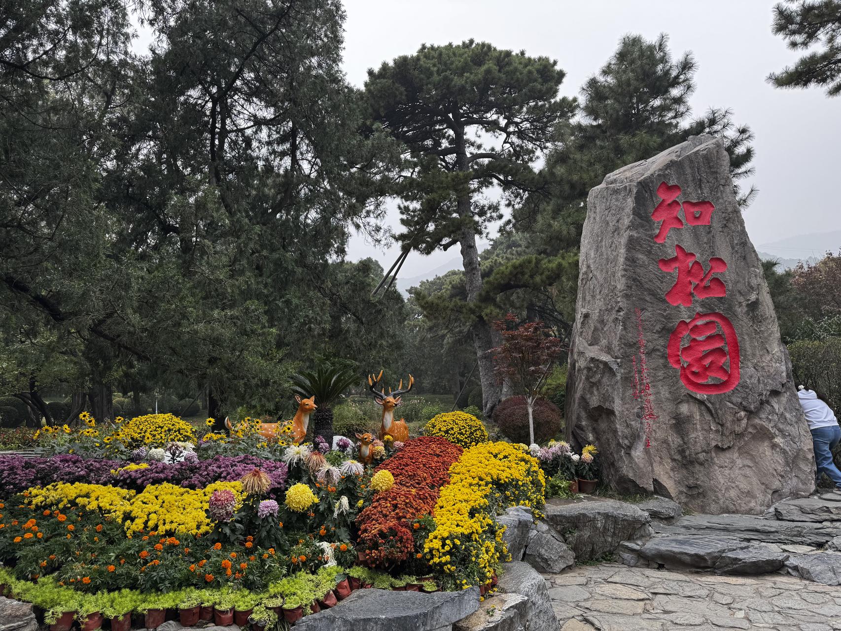 ‎Check network for missing images.