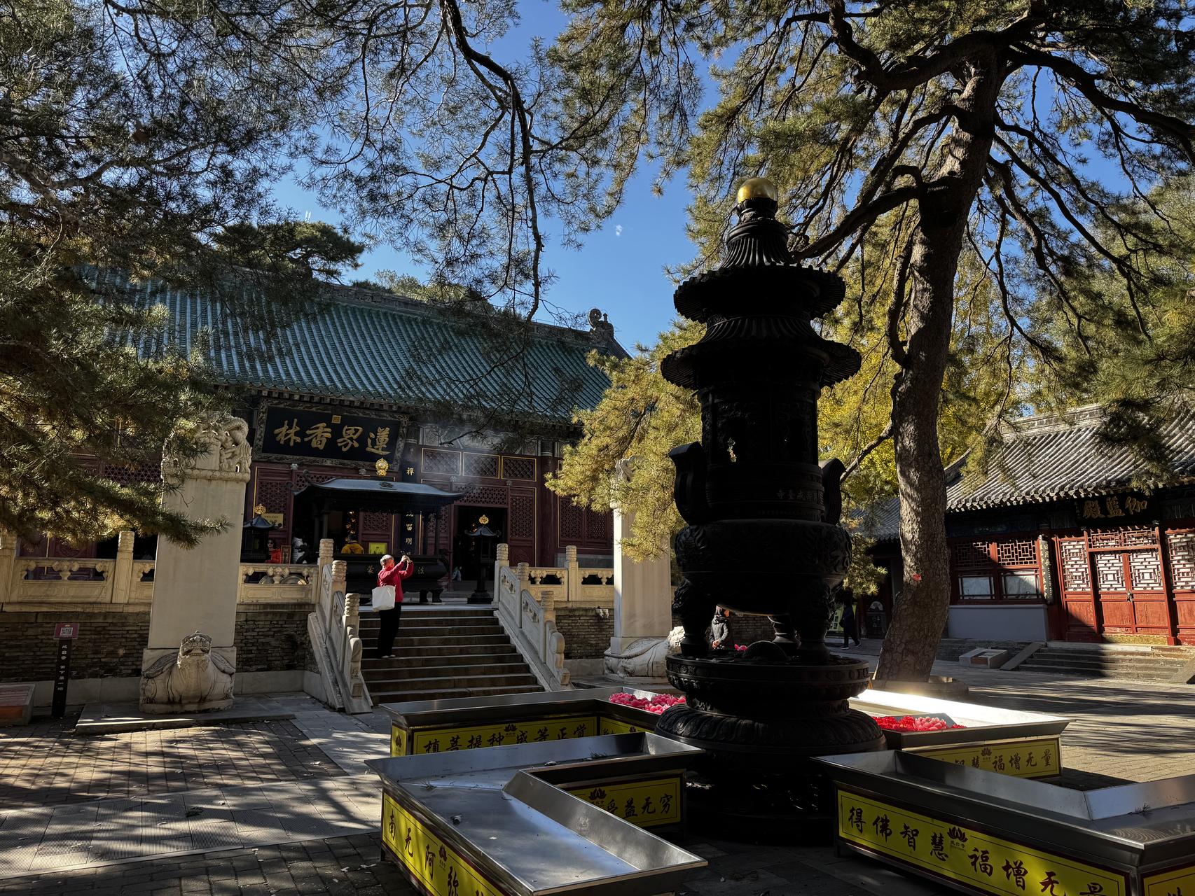 ‎Check network for missing images.