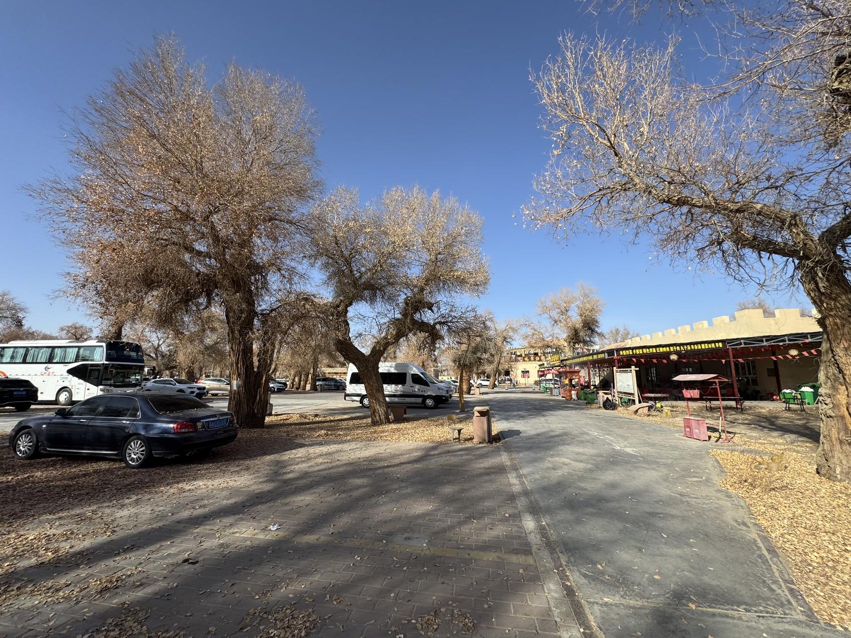 ‎Check network for missing images.