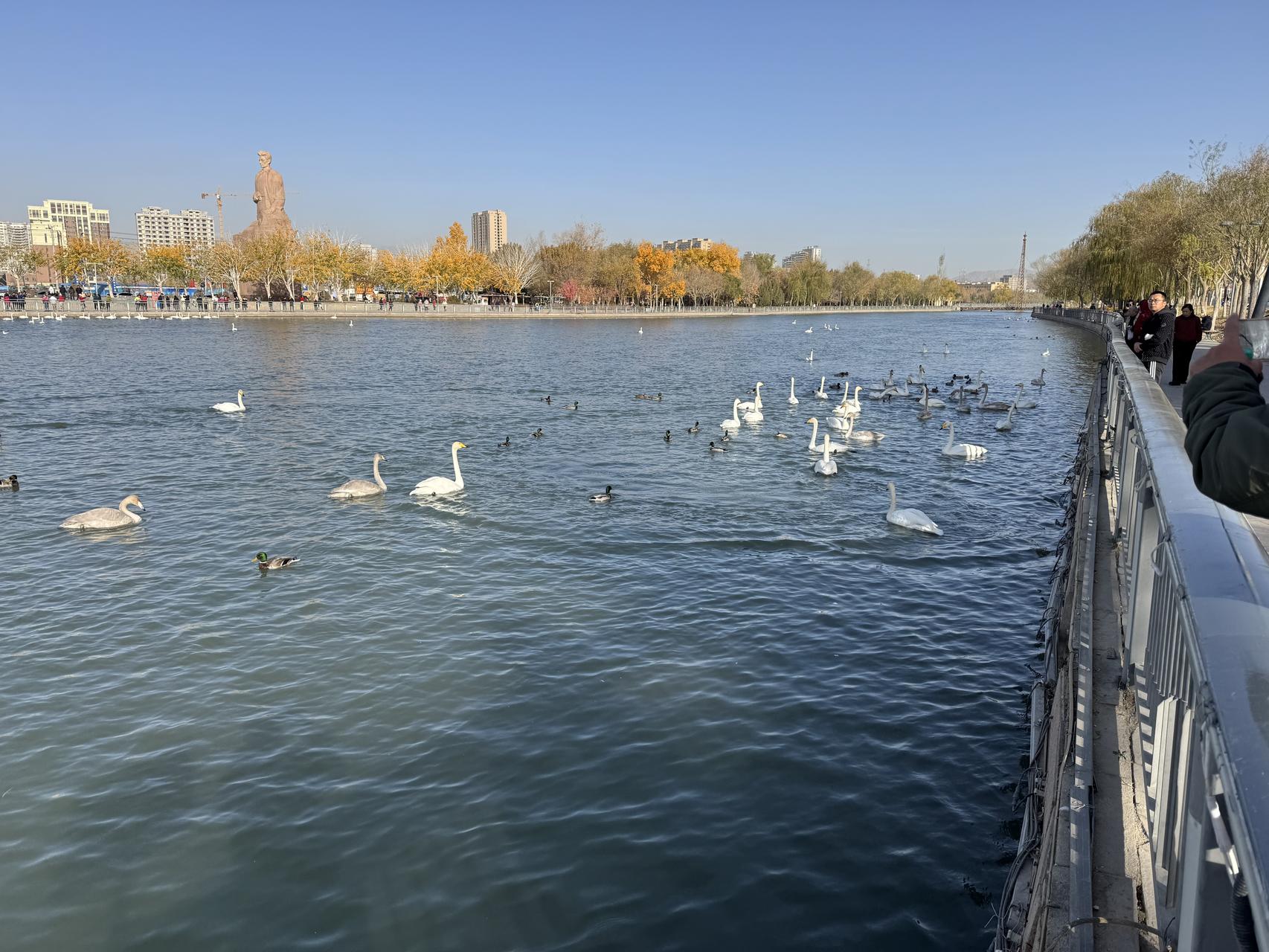 ‎Check network for missing images.