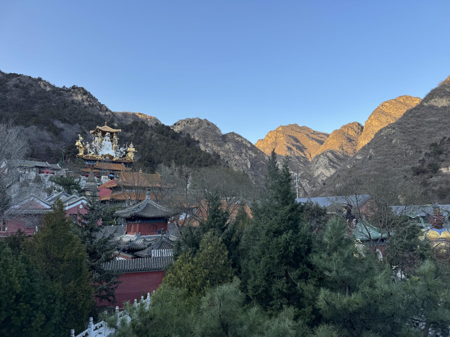 ‎Check network for missing images.