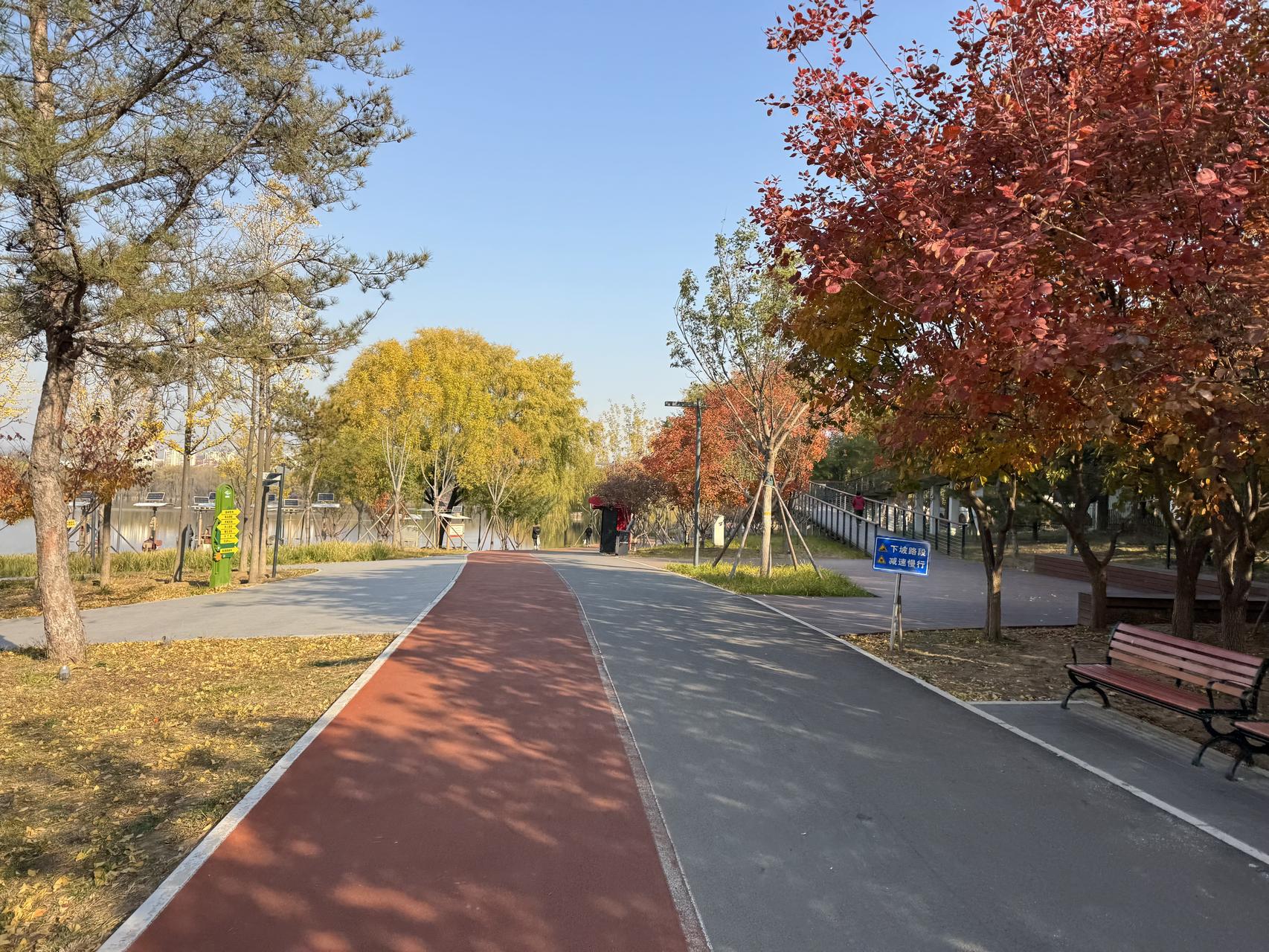 ‎Check network for missing images.