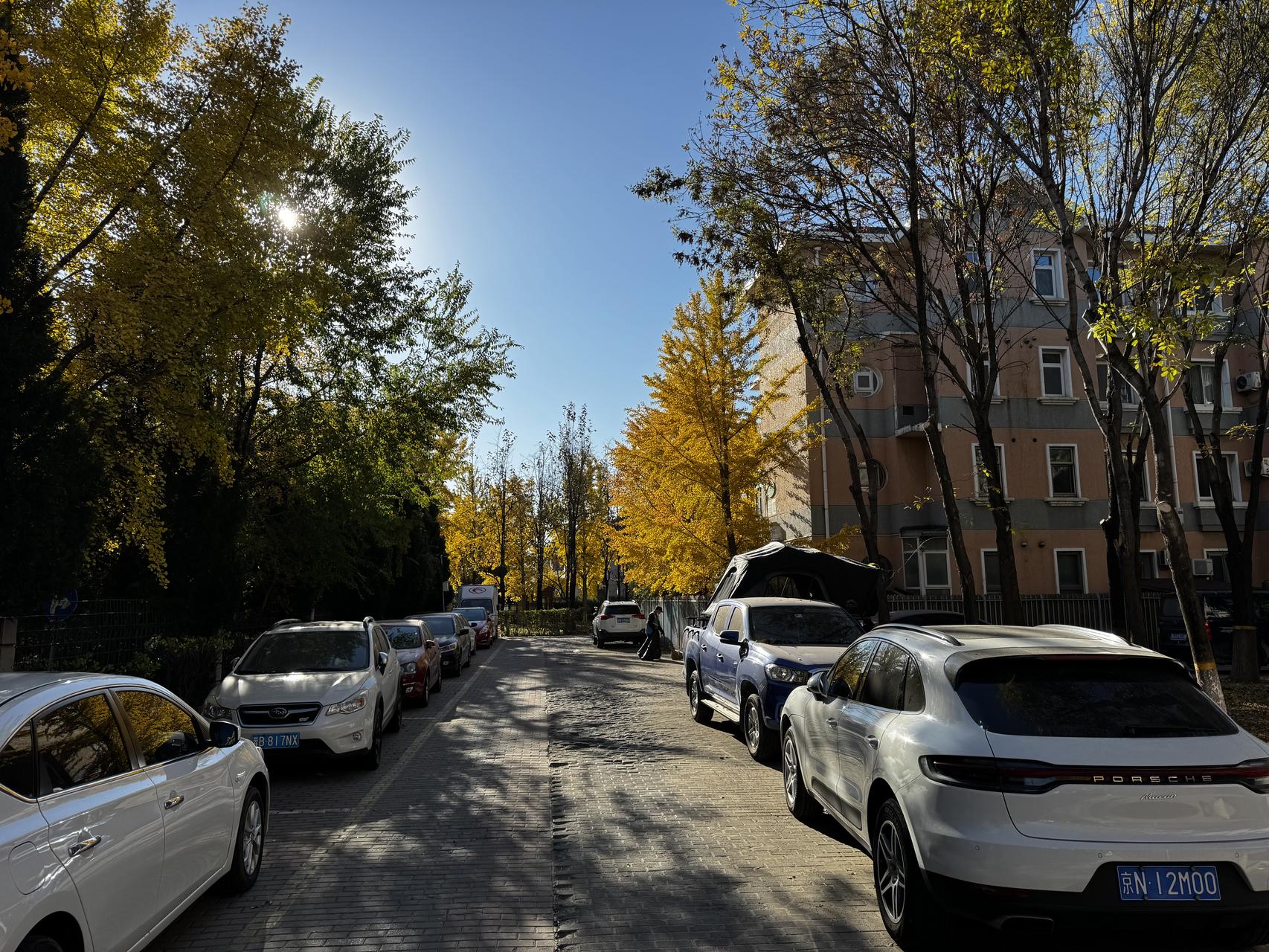 ‎Check network for missing images.