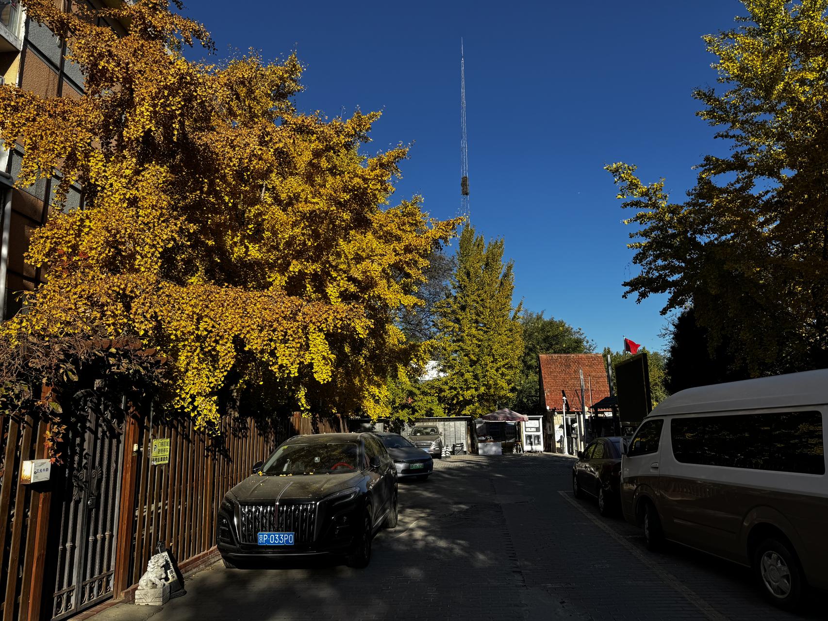 ‎Check network for missing images.