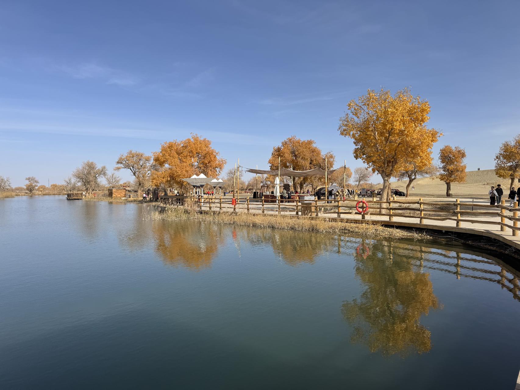 ‎Check network for missing images.