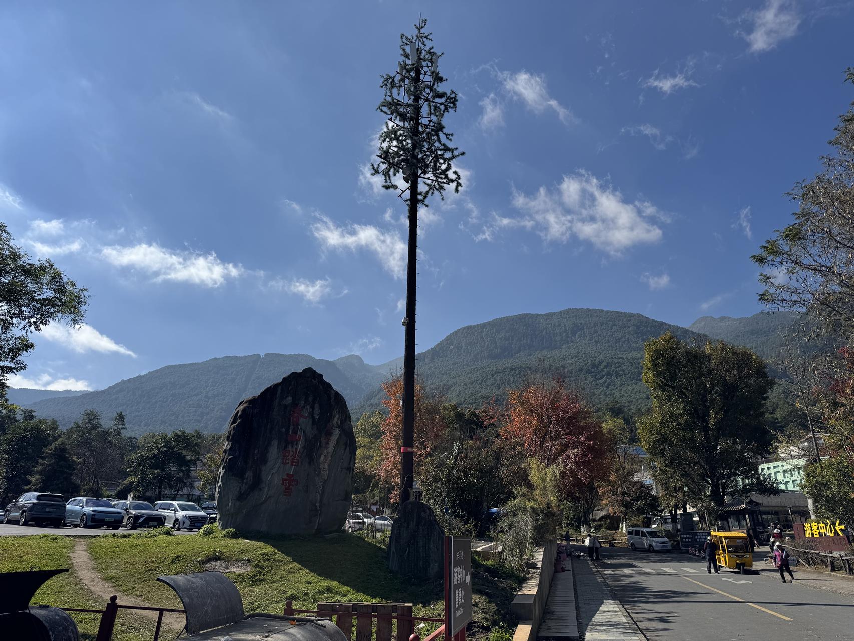 ‎Check network for missing images.