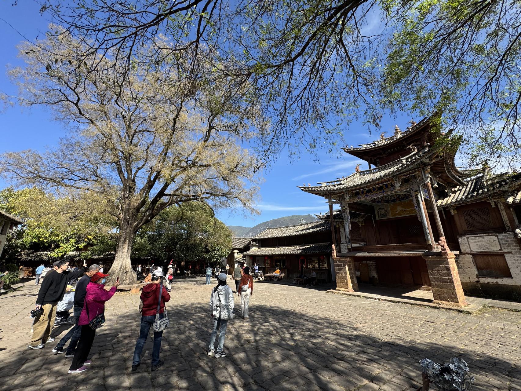 ‎Check network for missing images.