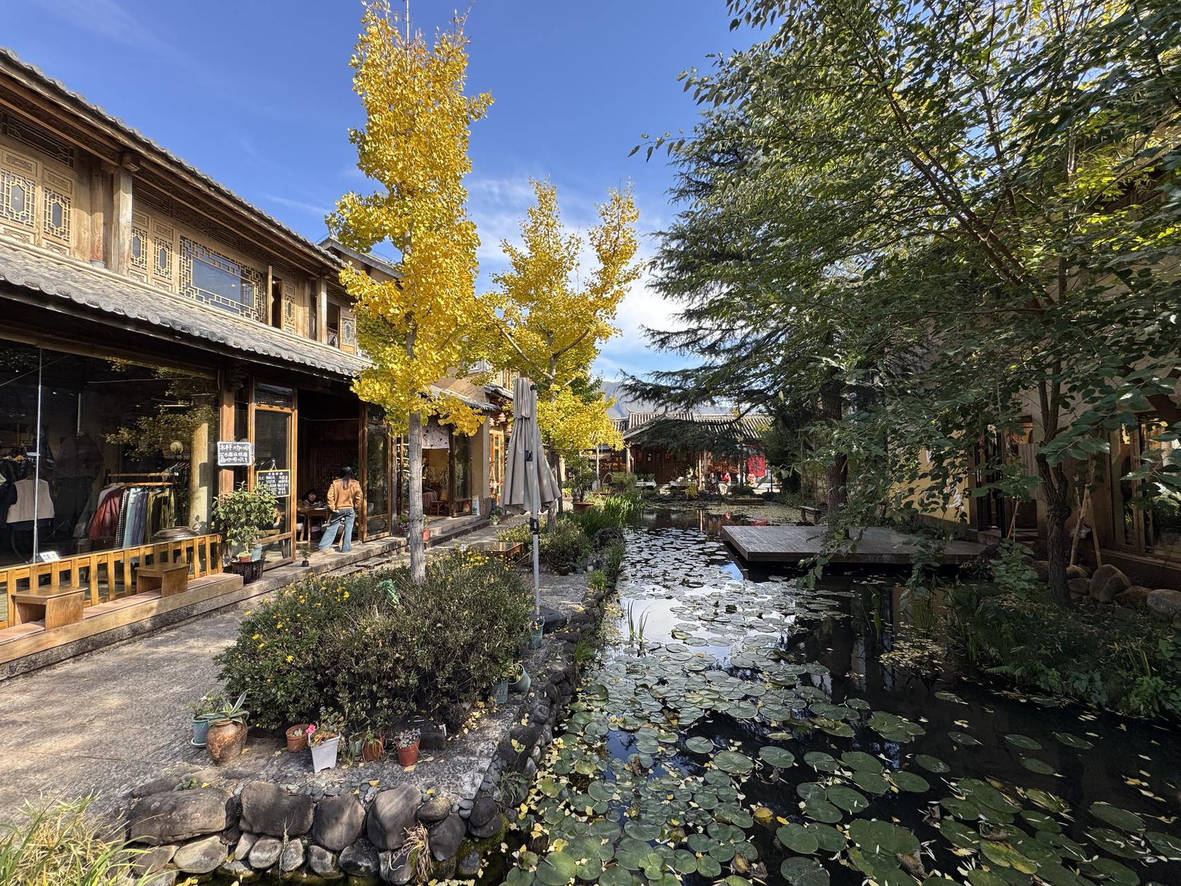 ‎Check network for missing images.