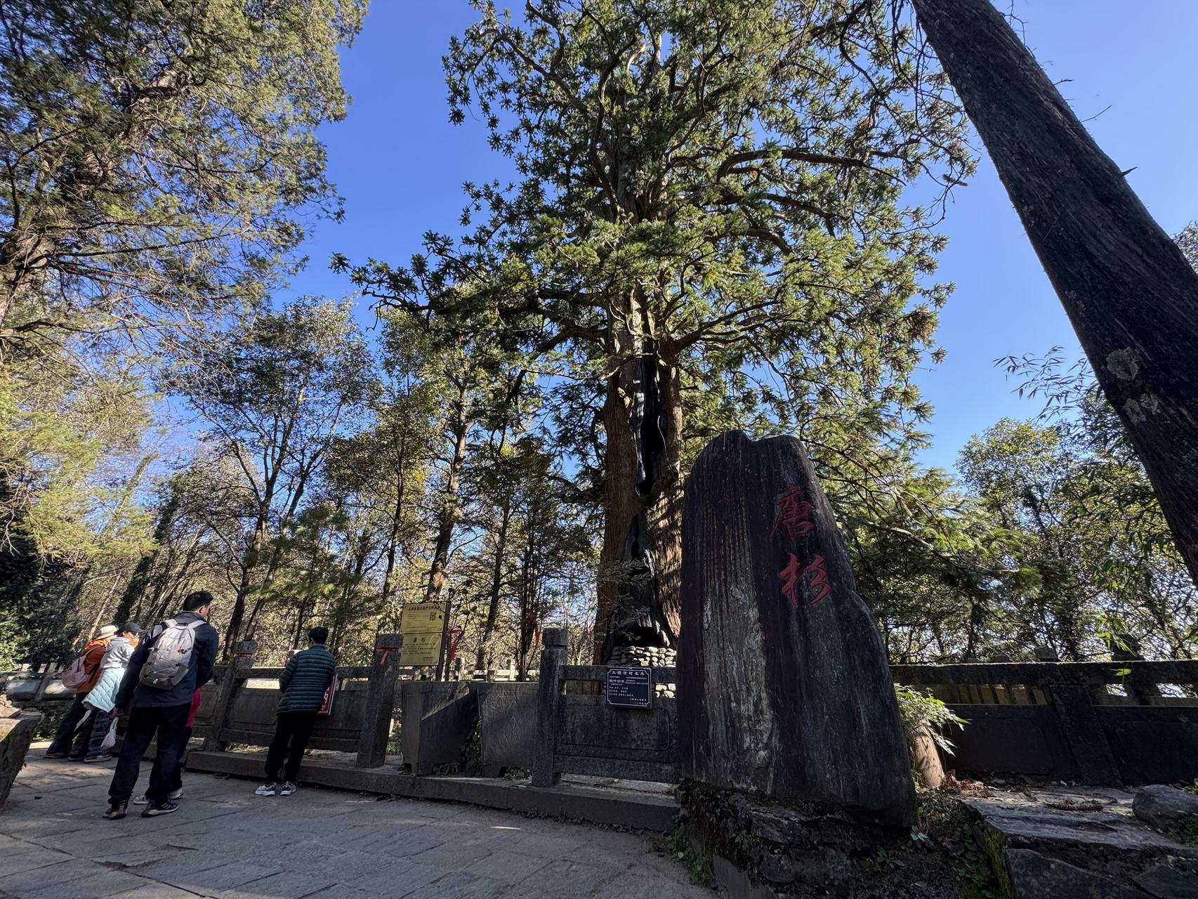 ‎Check network for missing images.