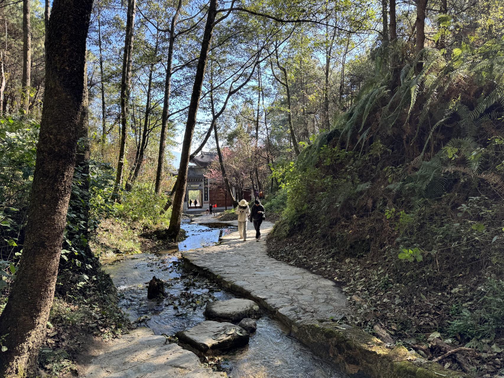 ‎Check network for missing images.