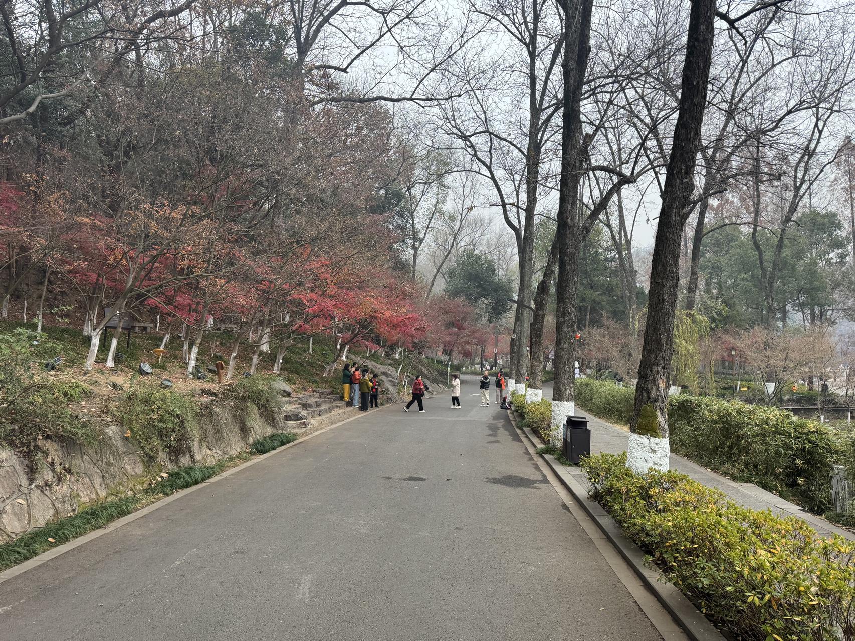 ‎Check network for missing images.