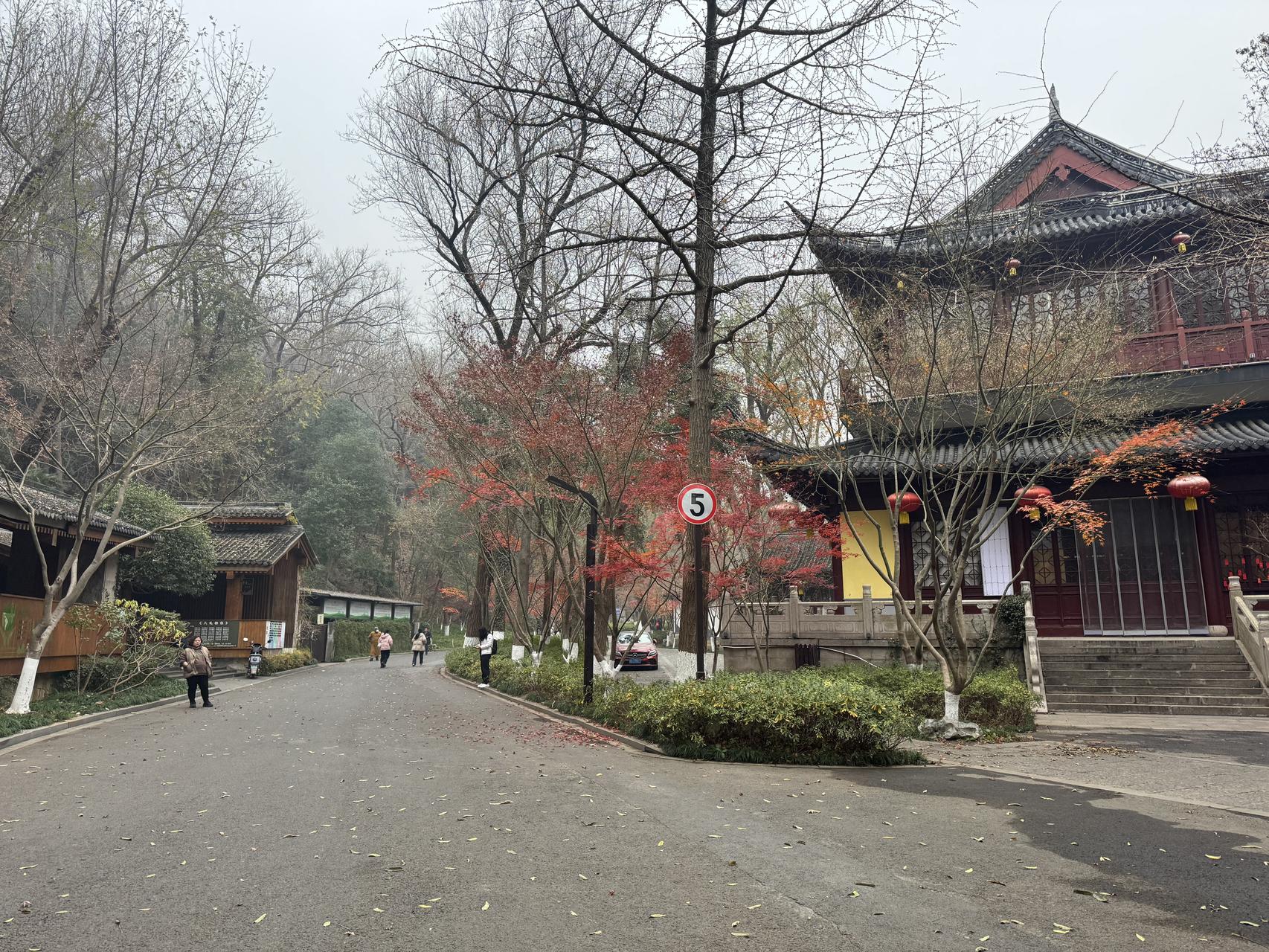 ‎Check network for missing images.