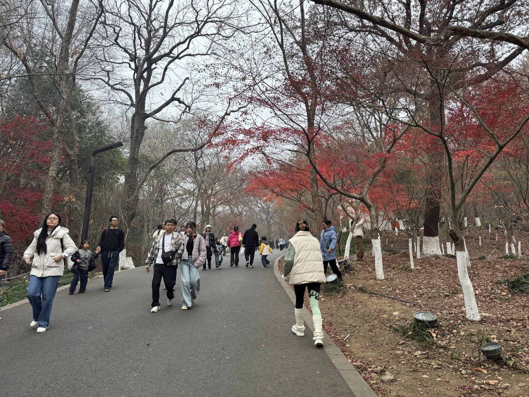 ‎Check network for missing images.