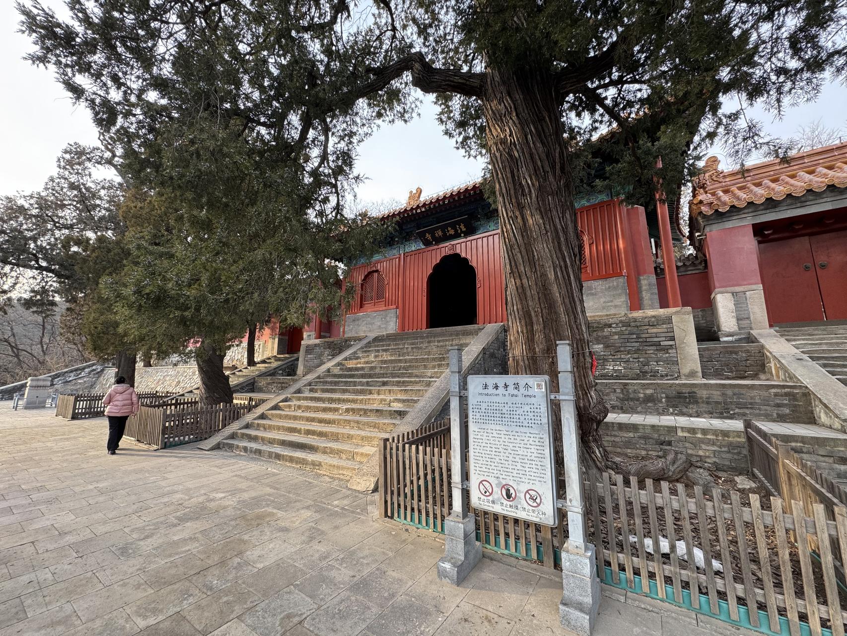 ‎Check network for missing images.