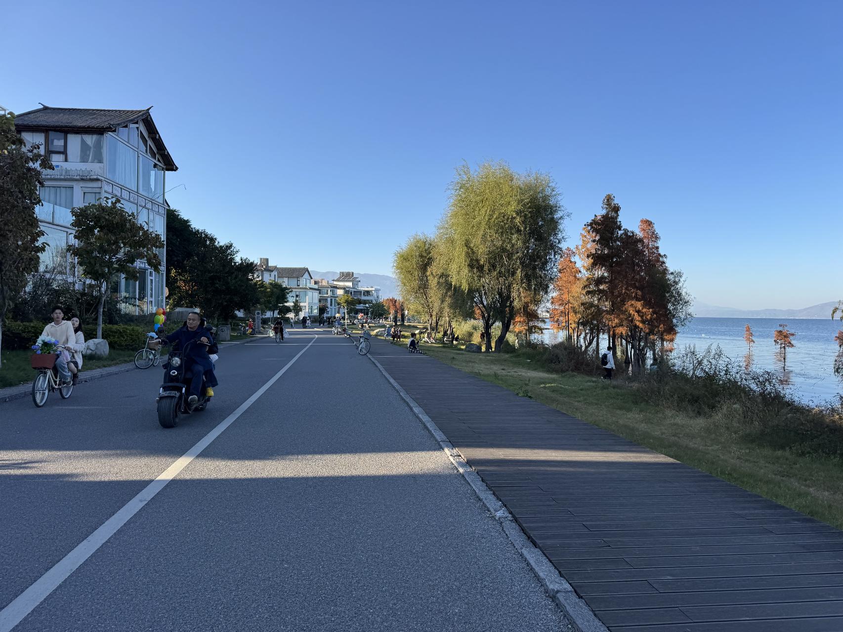 ‎Check network for missing images.