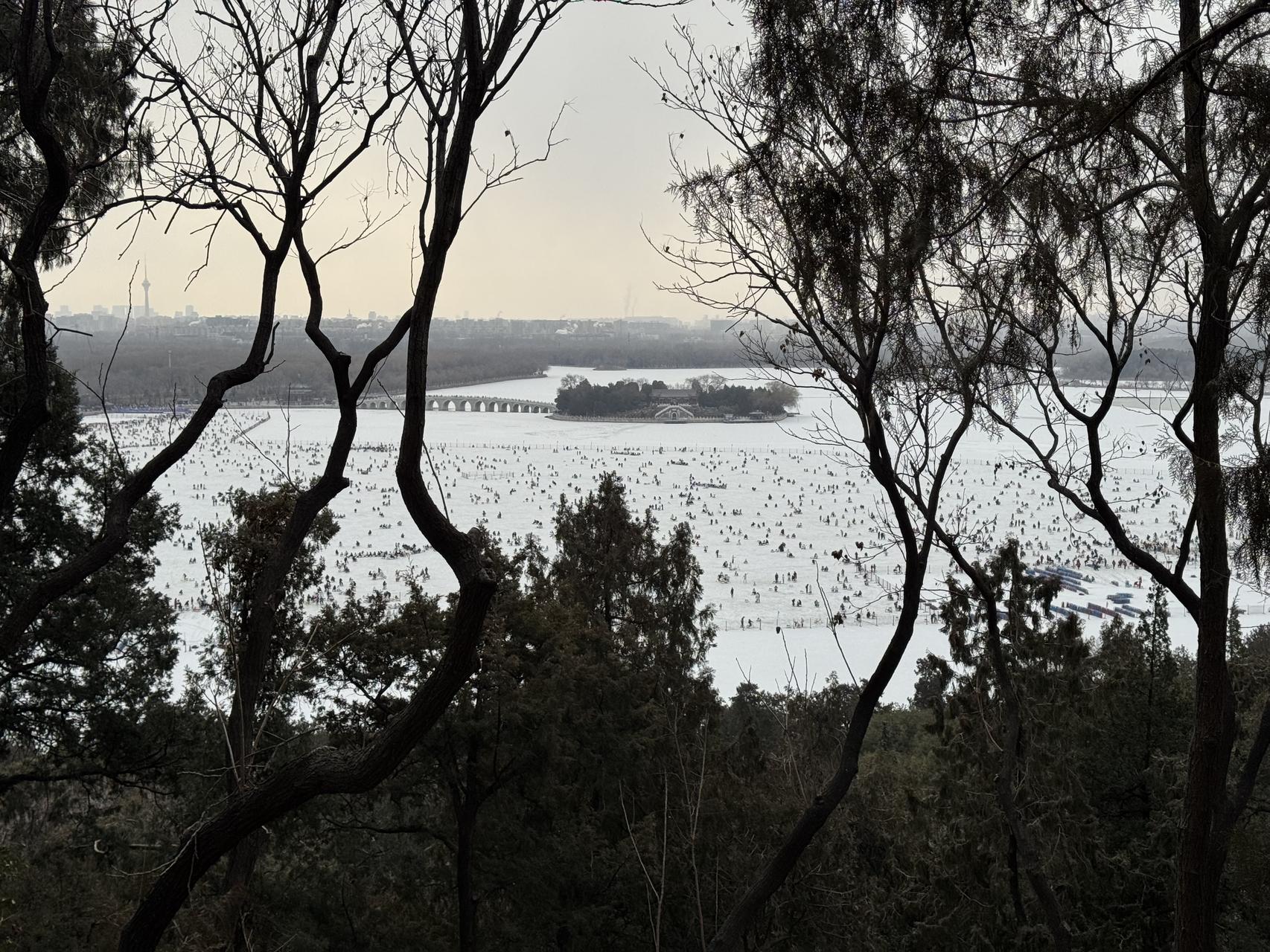 ‎Check network for missing images.