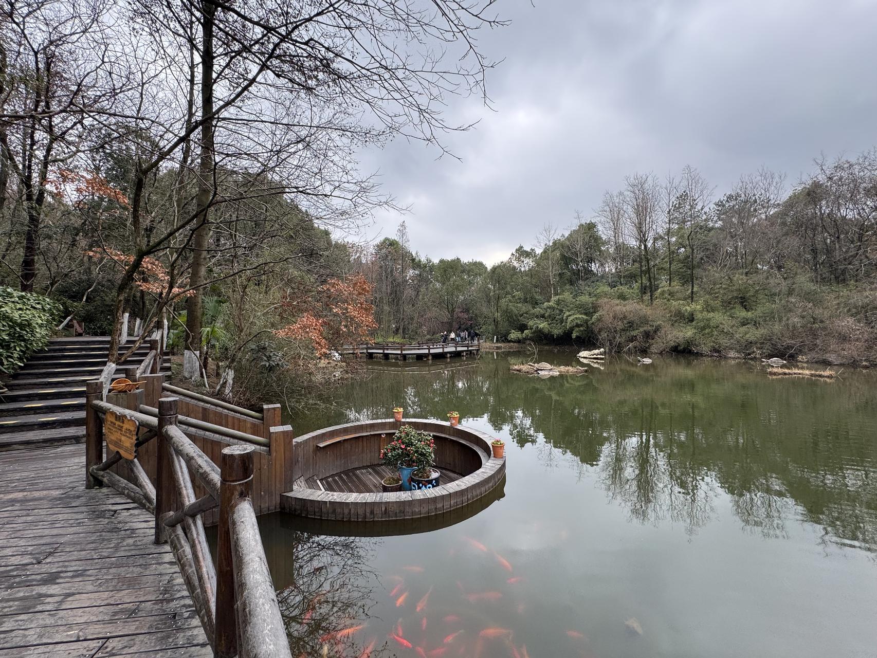 ‎Check network for missing images.