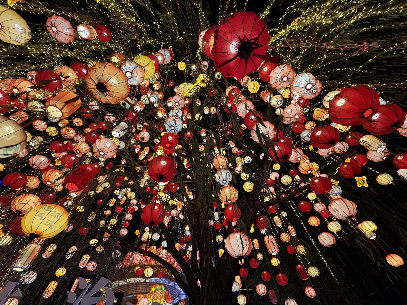 ‎Check network for missing images.