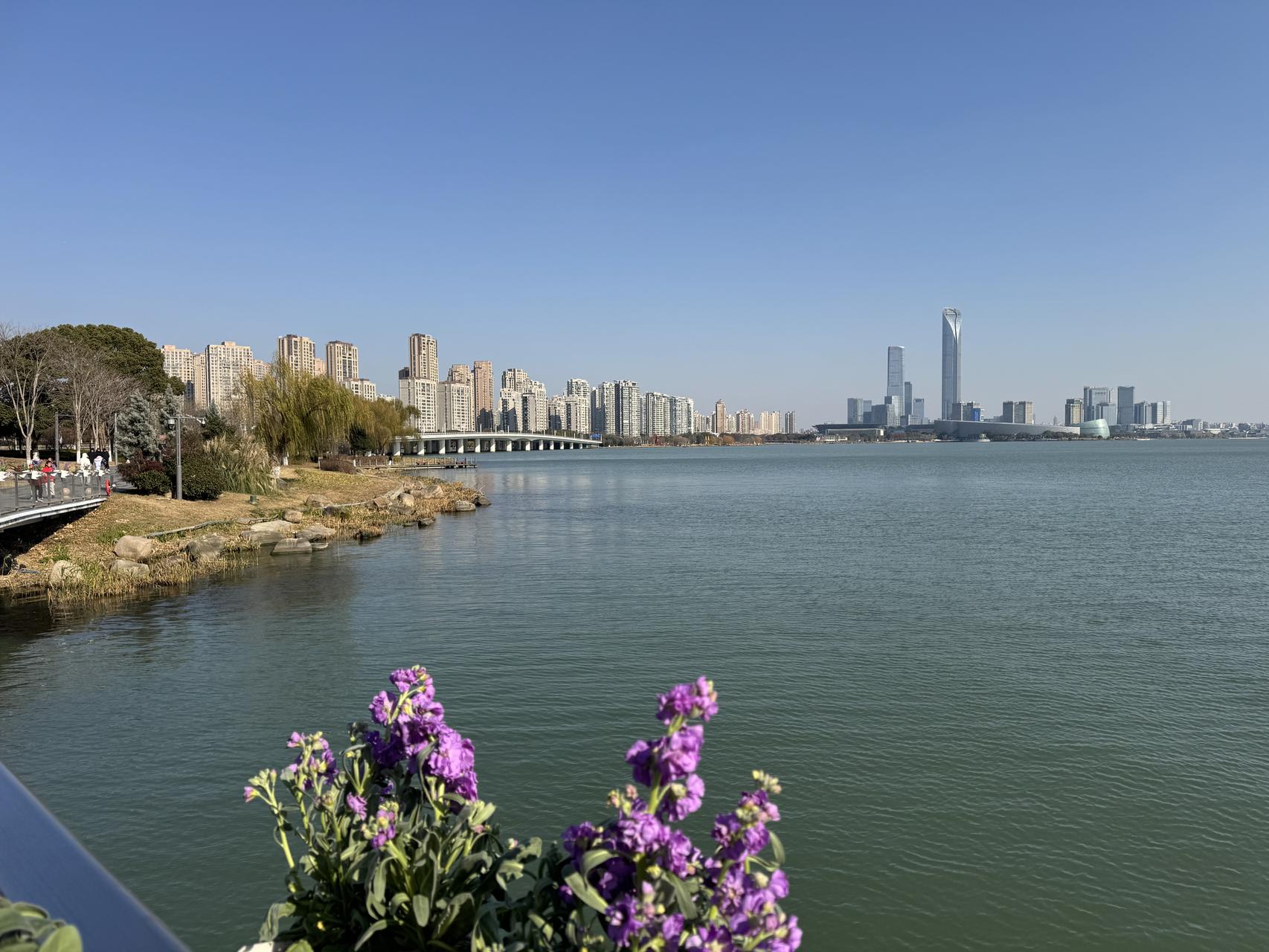 ‎Check network for missing images.