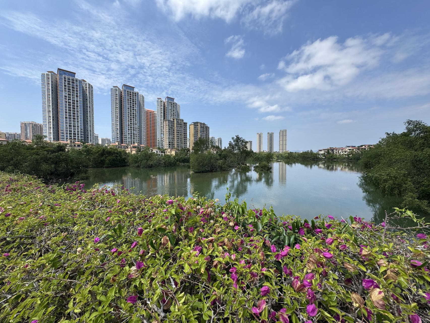 ‎Check network for missing images.