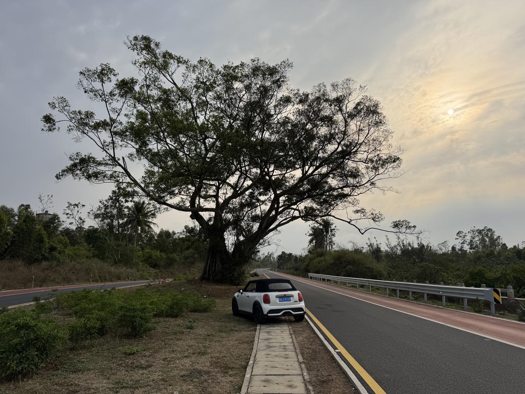 ‎Check network for missing images.