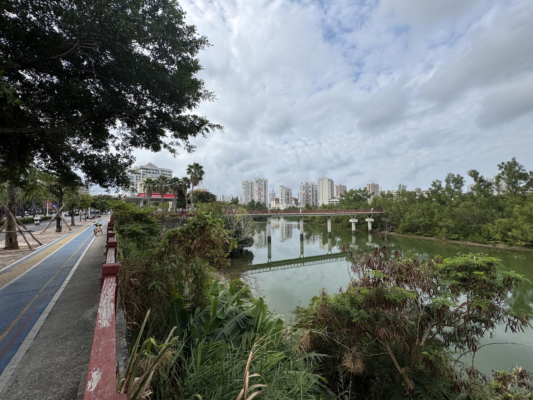 ‎Check network for missing images.