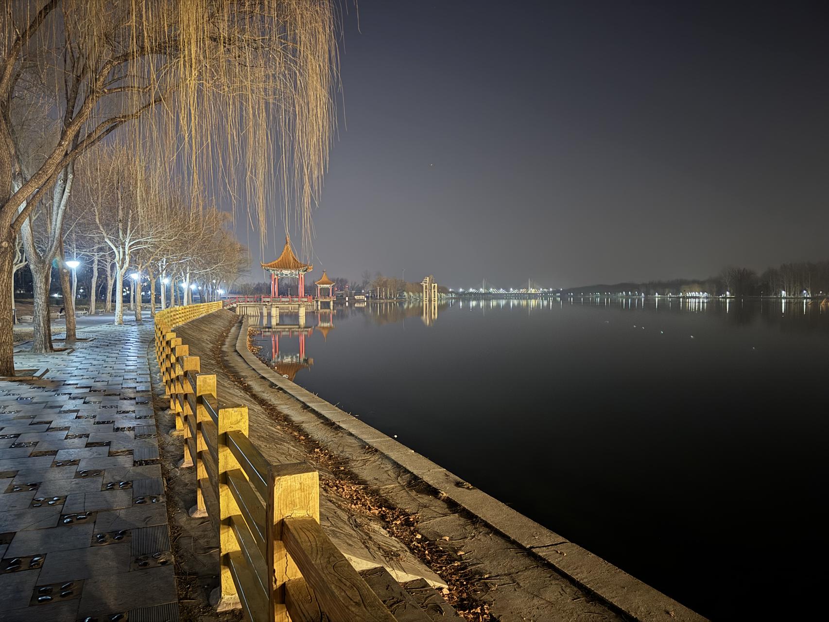 ‎Check network for missing images.