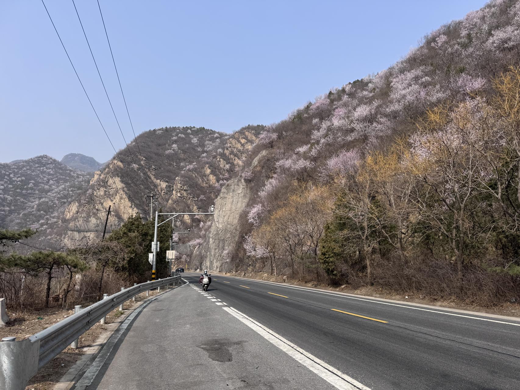 ‎Check network for missing images.