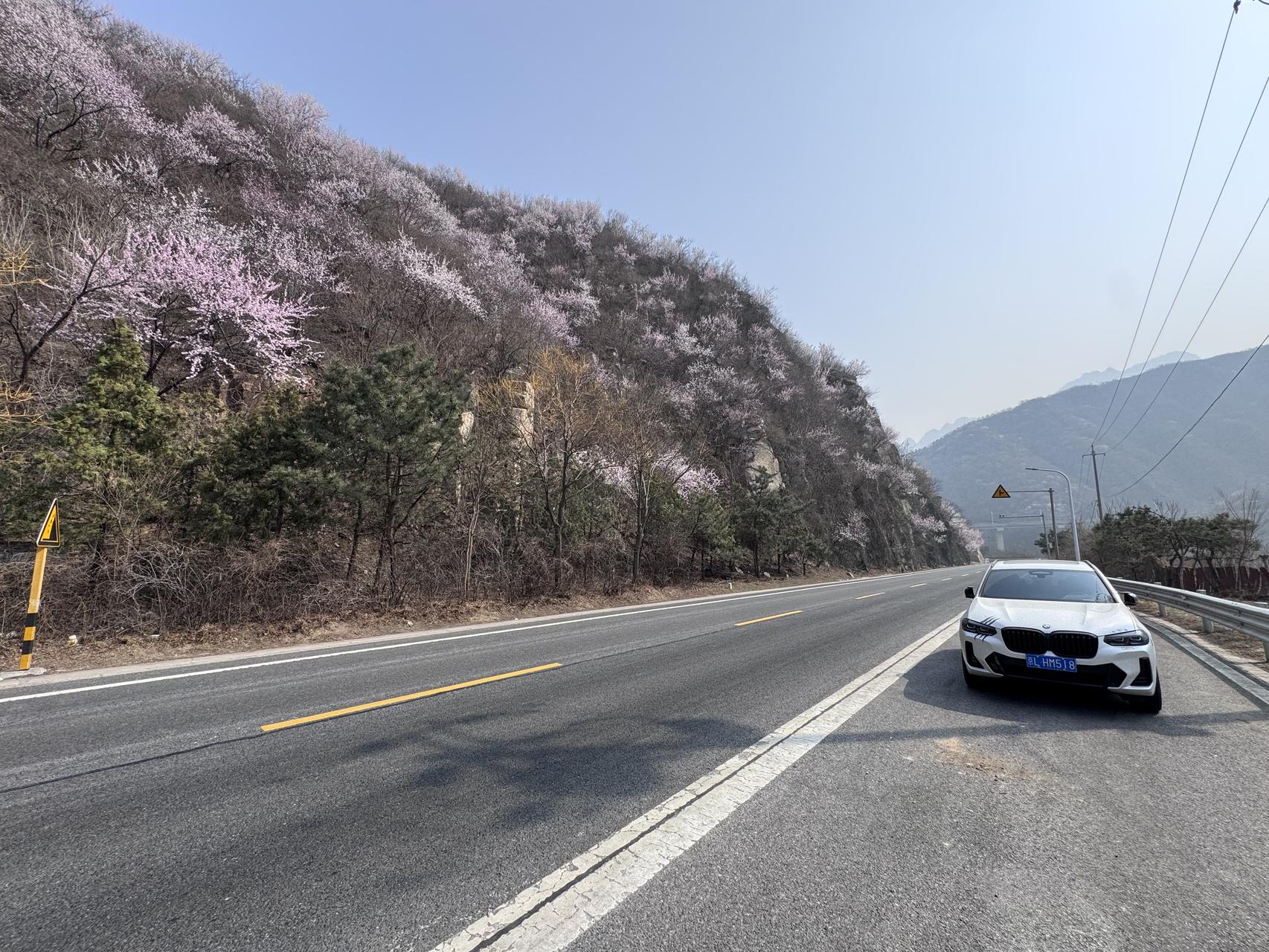 ‎Check network for missing images.