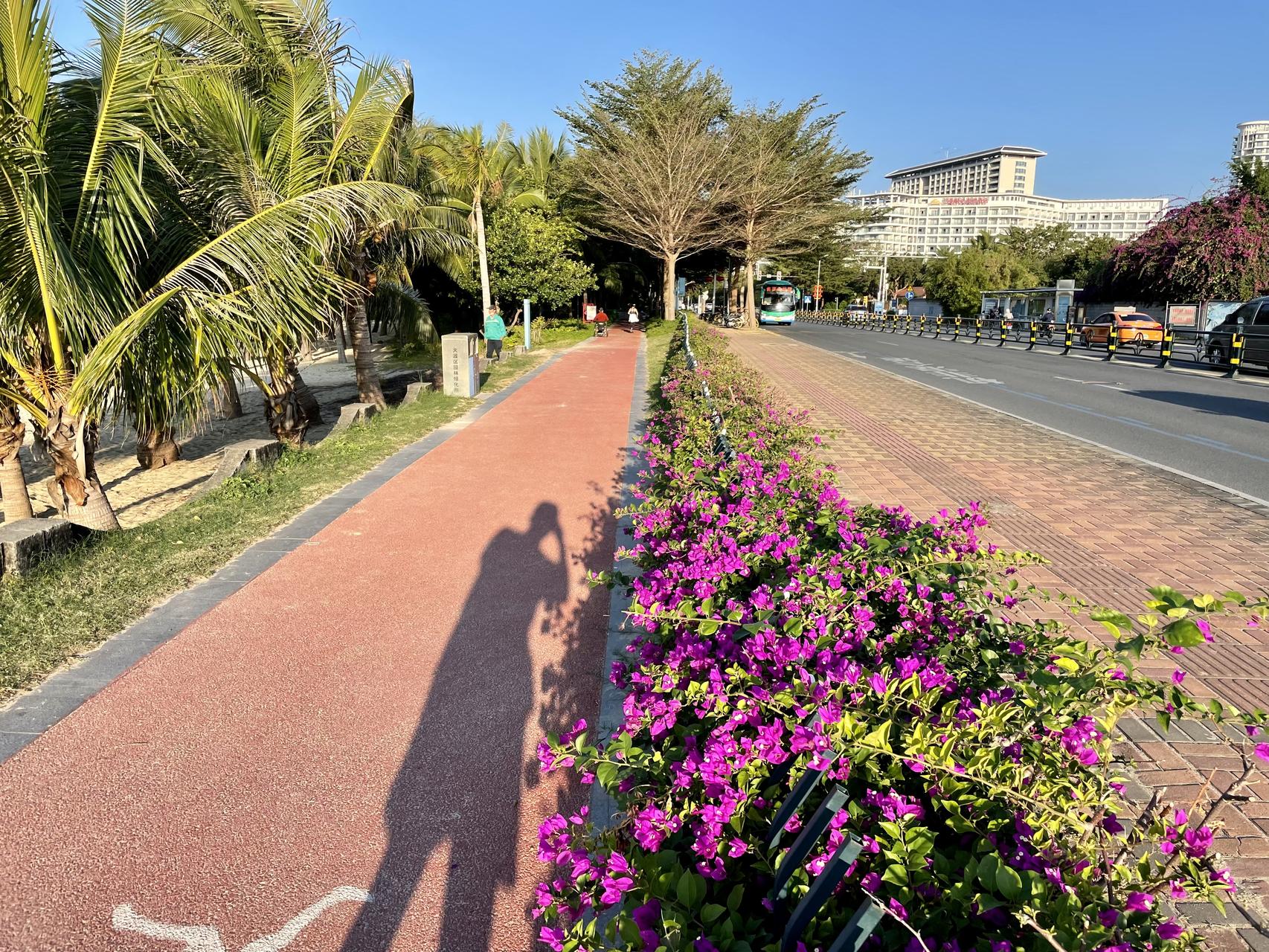 ‎Check network for missing images.