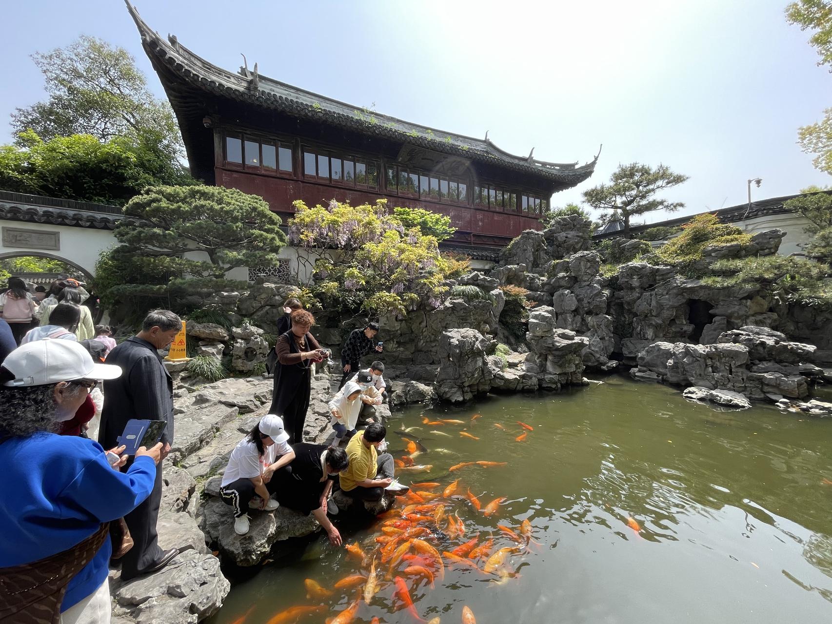 ‎Check network for missing images.