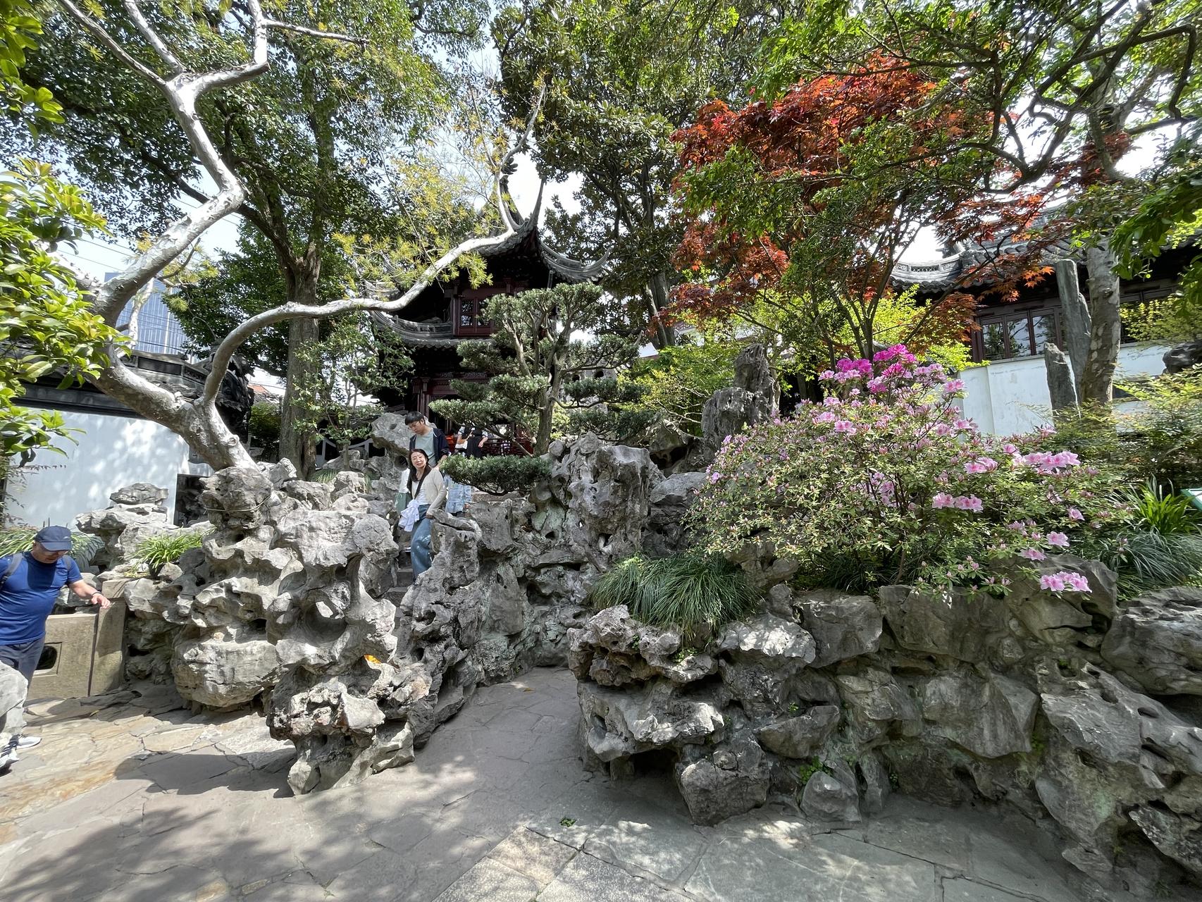 ‎Check network for missing images.