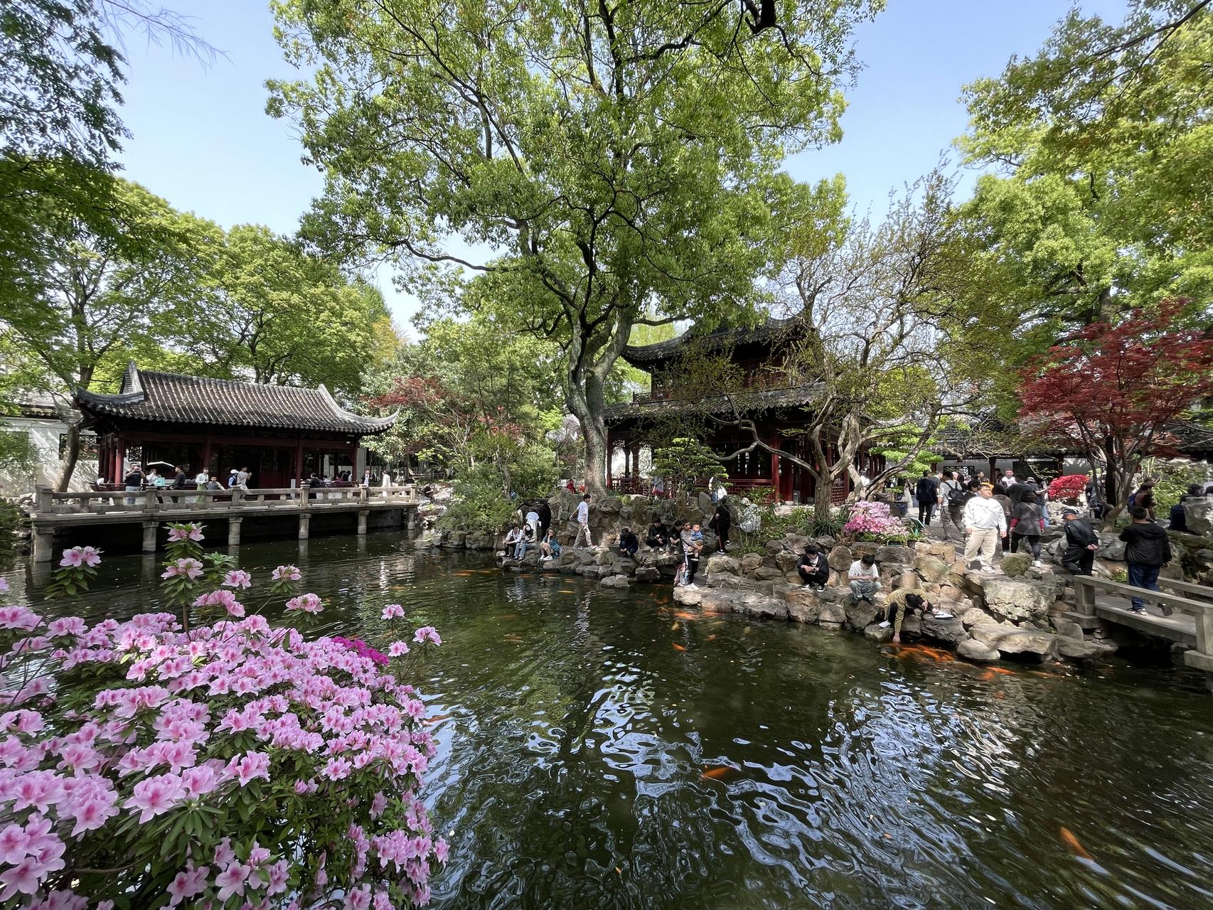 ‎Check network for missing images.