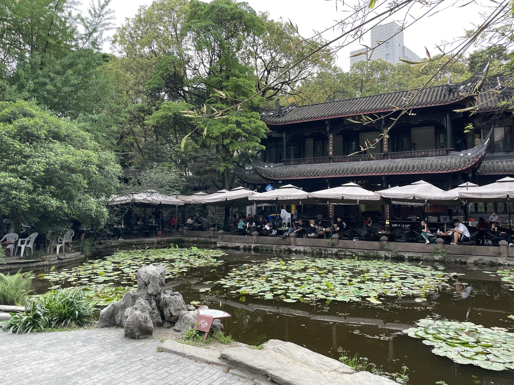 ‎Check network for missing images.