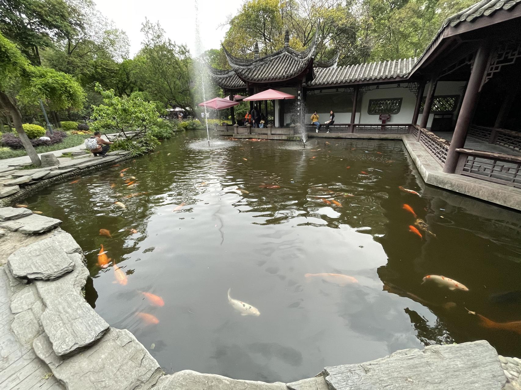 ‎Check network for missing images.