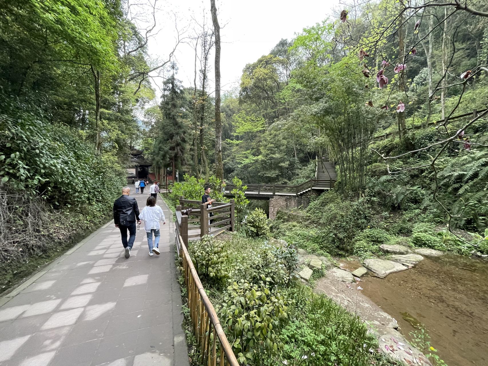 ‎Check network for missing images.