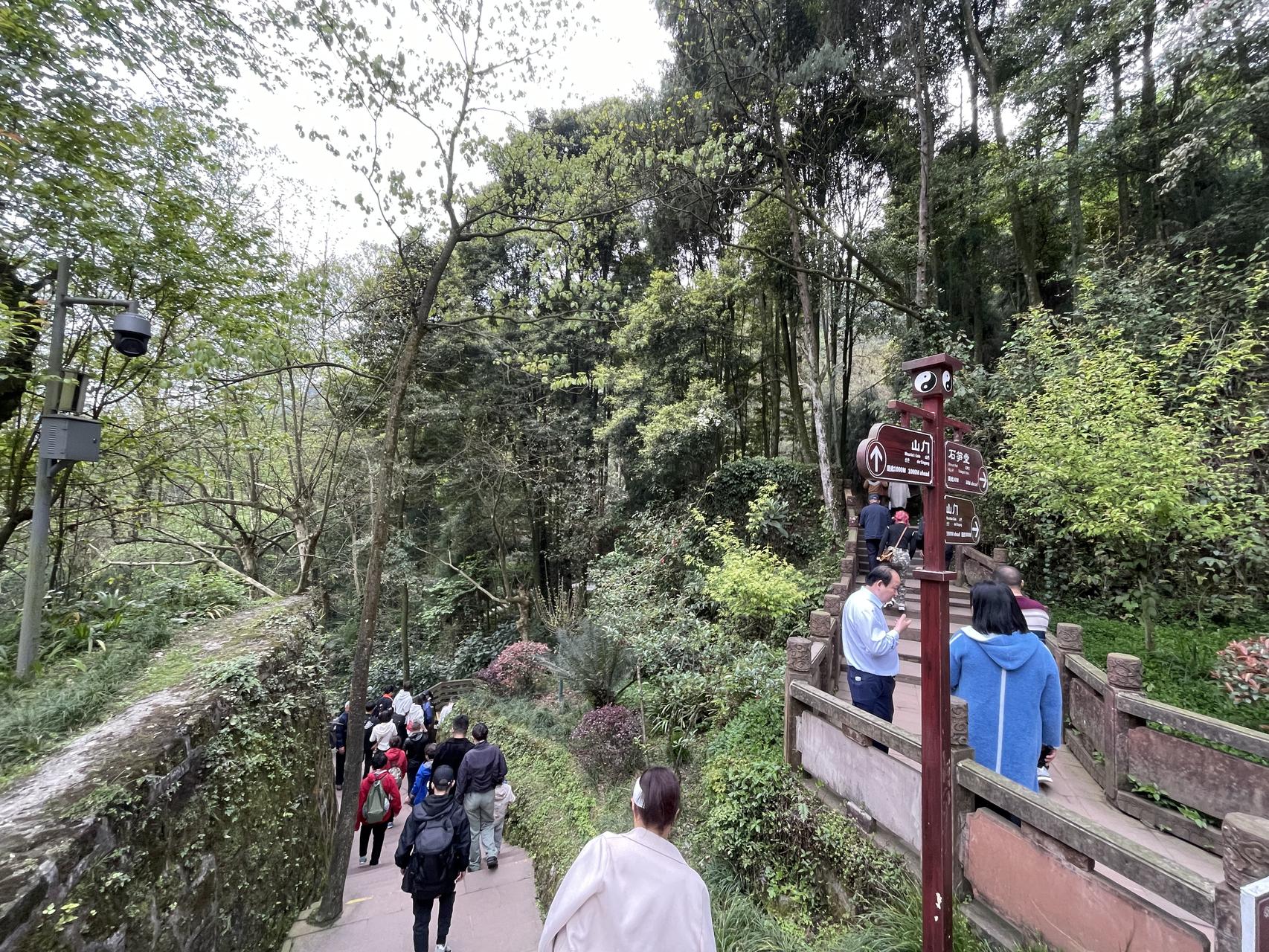 ‎Check network for missing images.