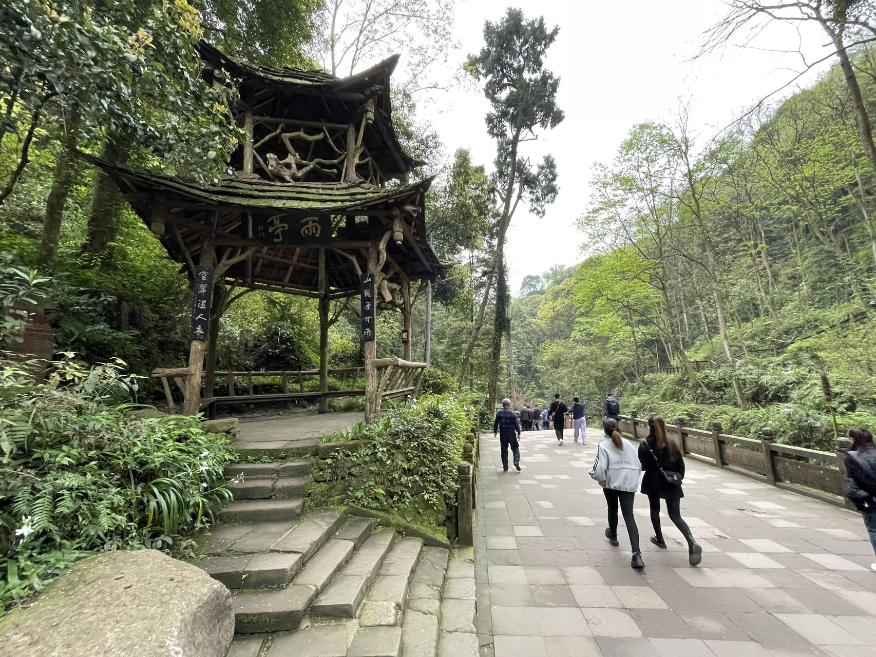 ‎Check network for missing images.